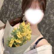 ヒメ日記 2026/03/01 23:48 投稿 春風　かな プルプル札幌性感エステ はんなり