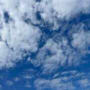 ヒメ日記 2026/03/22 14:02 投稿 ひとみ CECIL