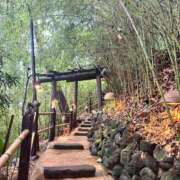 ヒメ日記 2026/04/12 15:01 投稿 ひとみ CECIL