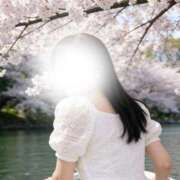 ヒメ日記 2026/05/30 00:01 投稿 まいか 藤沢人妻城