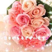 ヒメ日記 2026/03/03 19:03 投稿 かなえ 出会い系人妻ネットワーク札幌駅～大通り・すすきの編