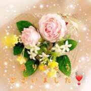 ヒメ日記 2026/03/10 16:49 投稿 かなえ 出会い系人妻ネットワーク札幌駅～大通り・すすきの編