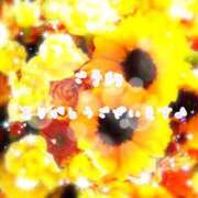 ヒメ日記 2026/03/17 17:03 投稿 かなえ 出会い系人妻ネットワーク札幌駅～大通り・すすきの編