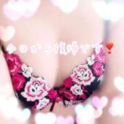 ヒメ日記 2026/03/30 14:19 投稿 かなえ 出会い系人妻ネットワーク札幌駅～大通り・すすきの編