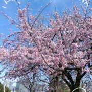 ありさ もうすぐ春🌸✨ 倶楽部愛