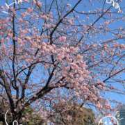 ヒメ日記 2026/03/09 09:01 投稿 ありさ 倶楽部愛