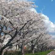 ヒメ日記 2026/03/30 10:31 投稿 ありさ 倶楽部愛