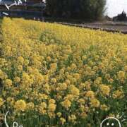 ヒメ日記 2026/04/02 21:03 投稿 ありさ 倶楽部愛