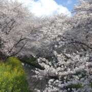 ヒメ日記 2026/04/06 08:31 投稿 ありさ 倶楽部愛