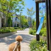 ヒメ日記 2026/07/21 21:12 投稿 れいか Hip's-group越谷本店