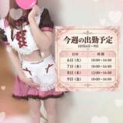 ヒメ日記 2026/10/06 00:22 投稿 れいか Hip's-group越谷本店