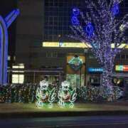 ヒメ日記 2026/02/24 19:41 投稿 緑（みどり） 松戸デリヘル　熟女ヘブン