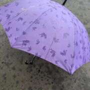 ヒメ日記 2026/02/25 09:01 投稿 緑（みどり） 松戸デリヘル　熟女ヘブン