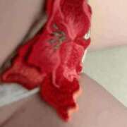 ヒメ日記 2026/03/06 05:31 投稿 緑（みどり） 松戸デリヘル　熟女ヘブン