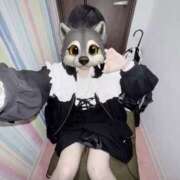 ヒメ日記 2026/03/30 10:49 投稿 きら スピードエコ日本橋店