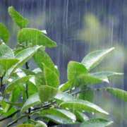 ヒメ日記 2026/03/04 09:47 投稿 愛原 あなたに逢いたくて