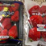 ヒメ日記 2026/03/03 17:05 投稿 おとは ドMなバニーちゃん徳島店