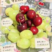 おとは 暑いと…ついつい ドMなバニーちゃん徳島店