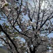 ヒメ日記 2026/04/02 22:10 投稿 いずみ 東京人妻セレブリティ（ユメオト）