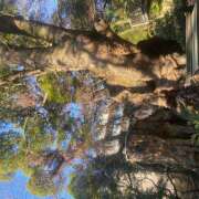 ヒメ日記 2026/03/02 18:16 投稿 りおな 神田エマニエル