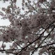 ヒメ日記 2026/04/03 18:00 投稿 響 Respect