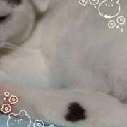 響 おはようございます♡ Respect