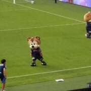 ヒメ日記 2026/03/04 09:47 投稿 菫(すみれ) エッチな熟女(広島)