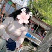 ヒメ日記 2026/03/13 22:28 投稿 菫(すみれ) エッチな熟女(広島)