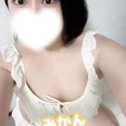 ヒメ日記 2026/02/26 15:30 投稿 みかん Ace(エース)