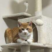 ヒメ日記 2026/03/12 21:48 投稿 みやび Club Melty