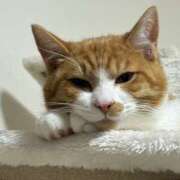 ヒメ日記 2026/03/27 22:26 投稿 みやび Club Melty