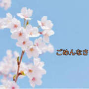 ヒメ日記 2026/04/03 09:44 投稿 桐矢真歩 五十路マダム 徳島店