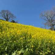 こはる 春に近づいていってますね? 天使のゆびさき 船橋店(カサブランカグループ)