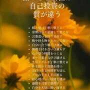 ヒメ日記 2026/04/28 13:18 投稿 有坂いおり お姉さんLABO -艶-