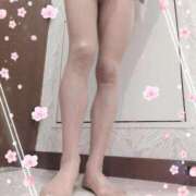 ヒメ日記 2026/03/31 08:42 投稿 みさき 熟女総本店