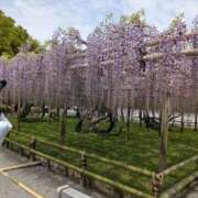 ヒメ日記 2026/04/20 10:23 投稿 みさき 熟女総本店