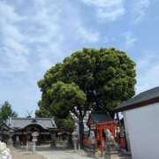 ヒメ日記 2026/04/25 17:32 投稿 みさき 熟女総本店