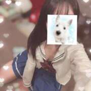 ヒメ日記 2026/04/19 23:49 投稿 しお ていくぷらいど.学園