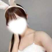 ヒメ日記 2026/03/25 14:29 投稿 ゆうり（ゆうり）ベーシック新人 aroma ace.