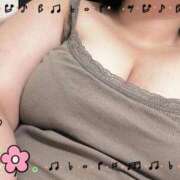 ヒメ日記 2026/03/03 17:45 投稿 まり サマンサ(和歌山)