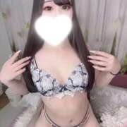 ヒメ日記 2026/03/07 07:41 投稿 もね 桜色学園