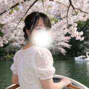 ヒメ日記 2026/03/31 16:33 投稿 もね 桜色学園