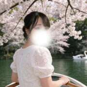 ヒメ日記 2026/03/31 16:51 投稿 もね 桜色学園