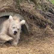 ヒメ日記 2026/04/06 20:52 投稿 える SOAPLAND LOVE FACTORY