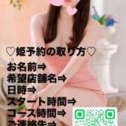 ヒメ日記 2026/03/05 11:12 投稿 つばき ロイヤル土佐