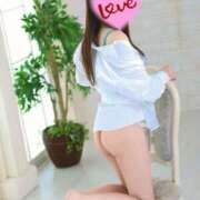 ヒメ日記 2026/04/17 09:44 投稿 つばき ロイヤル土佐