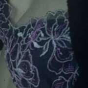 なつき なつき（clubさくら日本橋店） club さくら日本橋店