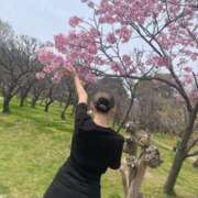 ヒメ日記 2026/04/08 12:09 投稿 なつき club さくら日本橋店