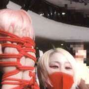 ヒメ日記 2026/02/25 11:17 投稿 マゼルナちゃん 女装コンシェルジュ