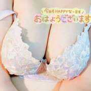 ヒメ日記 2026/03/04 08:28 投稿 ムム ピカソ